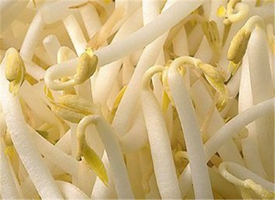 它是“菜中人参”，70%的人以为这菜没营养，殊不知它养气补血，还被称“活体蔬菜”