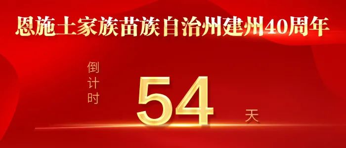 湖北2023高考分数线、一分一段表公布！