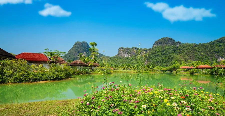 【中医药文化小讲堂】夏天祛湿很关键，食物吃对才健康